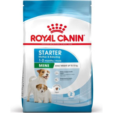 Royal Canin SHN Mini Starter Mother & Babydog - dry dog food - 4 kg