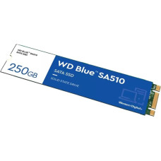 WD Western Digital Blue SA510 250 GB M.2 Serial ATA III