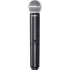 Shure BLX24E/SM58-M17