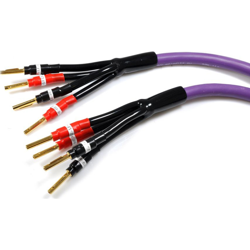 Melodika Kabel Melodika Banan x4 - Banan x4 2.5m fioletowy