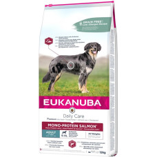 Eukanuba Daily Care Adult Mono Protein Salmon - dry dog food - 12 kg