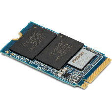 OWC Dysk SSD OWC Aura P13 Pro 2TB M.2 2242 PCI-E x4 Gen3.1 NVMe (OWCS3DN3P3T20)