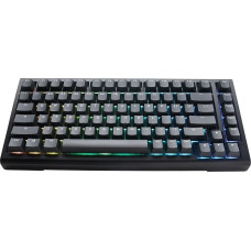 Ducky Klawiatura Ducky Ducky Tinker 75 Gaming Keyboard, RGB, black - MX-Brown (ANSI)