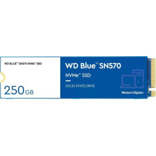 WD Dysk SSD WD Blue SN570 250GB M.2 2280 PCI-E x4 Gen3 NVMe (WDS250G3B0C)