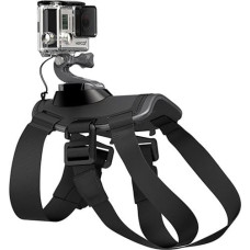 Gopro Fetch koera rakmed