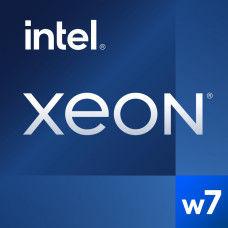 Intel Procesor serwerowy Intel Intel Xeon w7-2495X procesor 2,5 GHz 45 MB Smart Cache