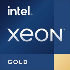 Intel Procesor serwerowy Intel Xeon Gold 6226R, 2.9 GHz, 22 MB, OEM (CD8069504449000)