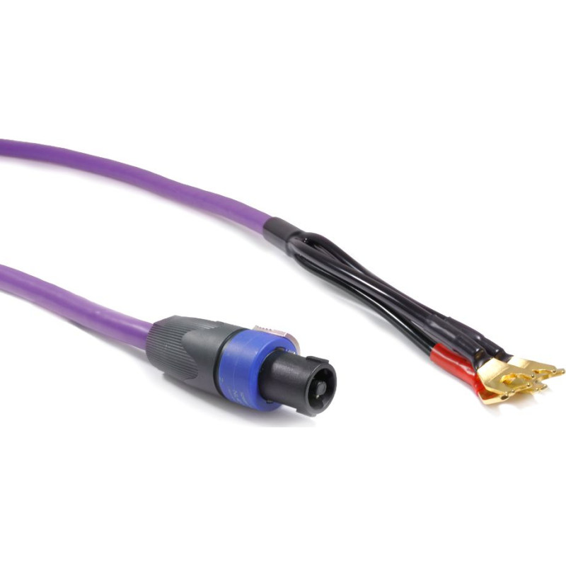 Melodika Kabel Melodika Widły - Speakon 1.5m fioletowy