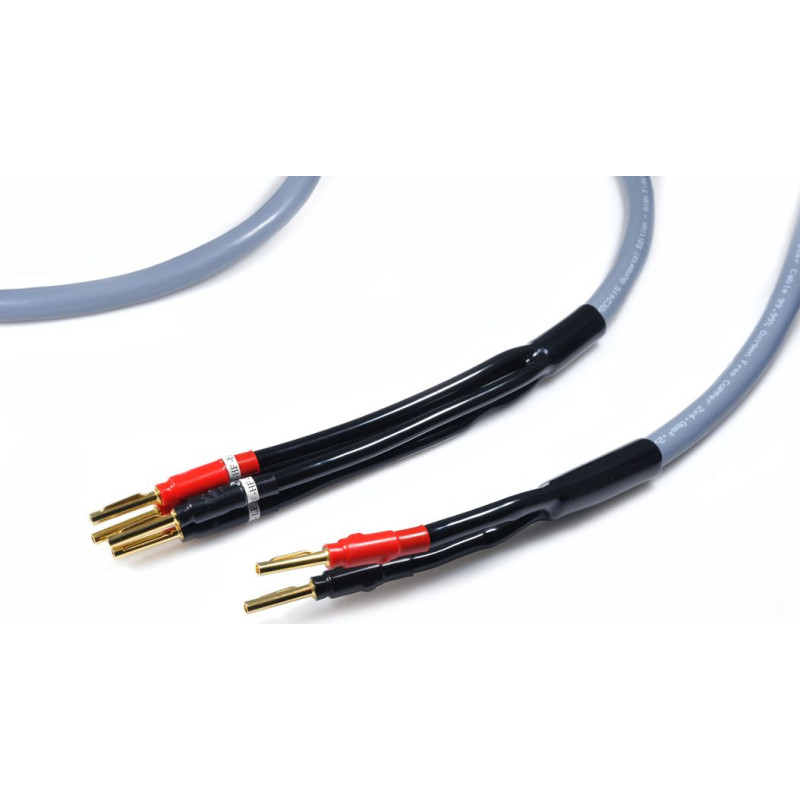 Melodika Kabel Melodika Banan x2 - Banan x4 2m szary