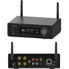 Arylic Arylic H50 - Bezprzewodowy wzmacniacz stereo
